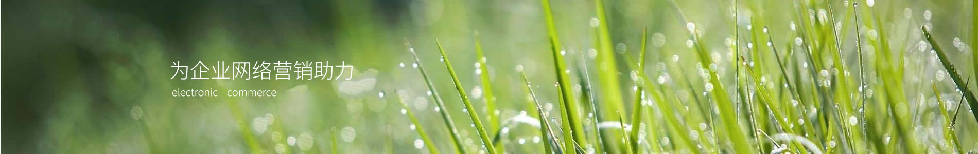 ൺ˼ԴӰܿƼ޹˾